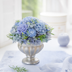 Celine（セリーヌ） 1枚目の画像