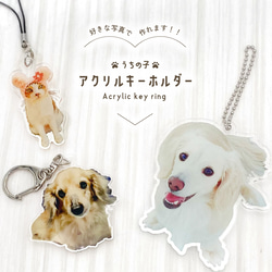 GGうさぎと犬のアクリルキーホルダー 犬うさぎアクリルキーホルダー | 犬うさぎ オリジナルグッズ!!!