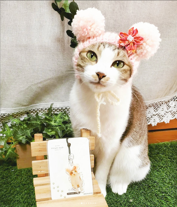 うちの子 アクリルキーホルダー ペット 写真入り 50mm 80mm アクキー 犬 猫 ハムスター うさぎ 12枚目の画像