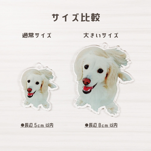 犬の形状アクリルキーホルダー 楽天市場】犬シルエット キーホルダー 12犬種 選べるカラー4色