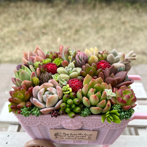 ☆ラスト1点！☆速達発送！☆【予約販売】2023母の日 ☆送料無料