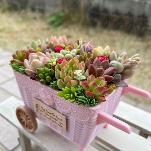 ☆ラスト1点！☆速達発送！☆【予約販売】2023母の日 ☆送料無料