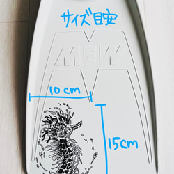 ダイビング用フィンペイント【オーダーメイドデザイン】 5枚目の画像