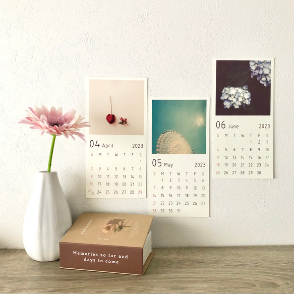 4月 5月 6月 カレンダー カレンダー Angelite 通販 15647780