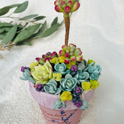 多肉植物寄せ植え〜樹脂粘土レジン(粘土細工)ガーデンピック