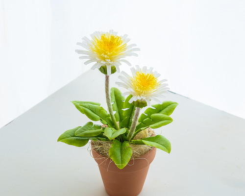 2a591a221264d5c9b316da5738a539