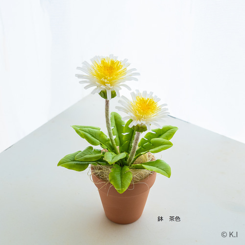 受注】粘土 シロバナタンポポさん 素焼き鉢編 たんぽぽ タンポポ 鉢の