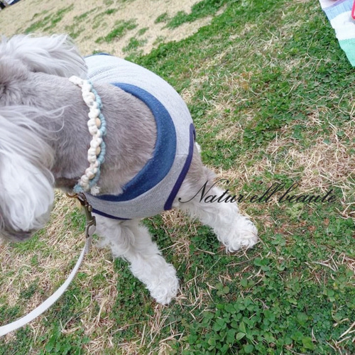 受注制作♡ マクラメ 小型犬用 チョーカー リード・首輪 〜Natur