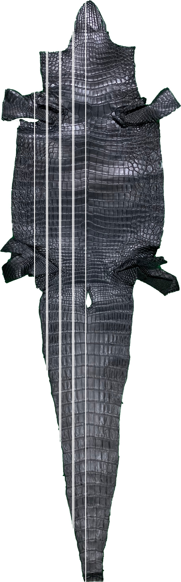 日本製　上質　クロコダイル　マット仕上げ　手縫い　Lサイズ　３５㎜巾　ベルト　真鍮挽物バックル　エキゾチックレザー 7枚目の画像