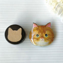 七宝焼き・猫のお顔ブローチ（大）☆エキゾチック・ショートヘア 4枚目の画像