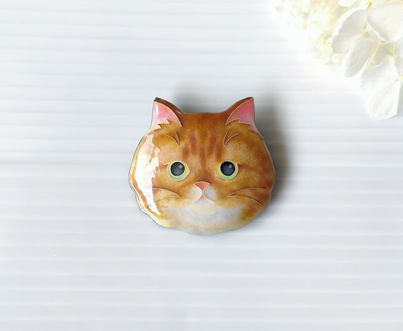 七宝焼き・猫のお顔ブローチ（大）☆エキゾチック・ショートヘア
