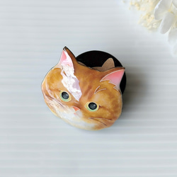 七宝焼き・猫のお顔ブローチ（大）☆エキゾチック・ショートヘア 6枚目の画像