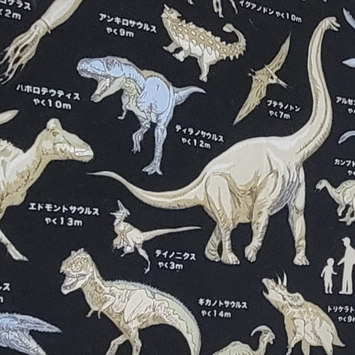 縦30✖️横40マチ5】男の子 オシャレ 恐竜大きさくらべ レッスンバッグ