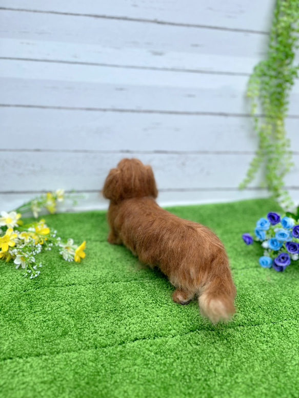 ダックスフンド♡世界でたったひとつ♡うちの子をずっとそばに♡ダックス　オーダー 10枚目の画像