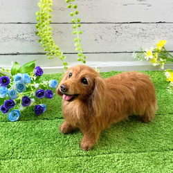 ダックスフンド♡世界でたったひとつ♡うちの子をずっとそばに♡ダックス　オーダー 6枚目の画像