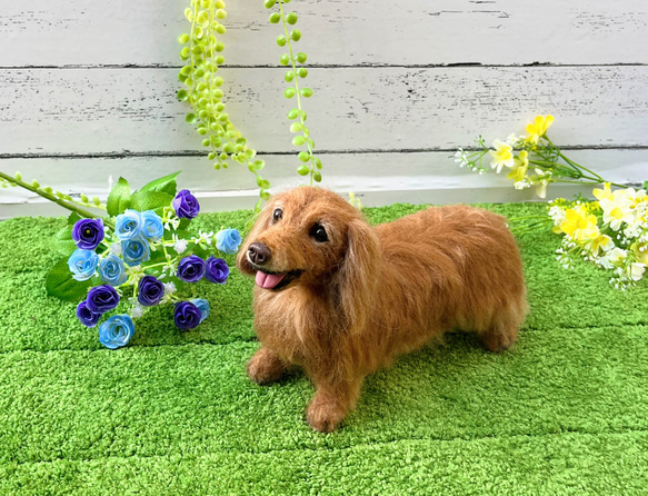 ダックスフンド♡世界でたったひとつ♡うちの子をずっとそばに♡ダックス　オーダー 6枚目の画像