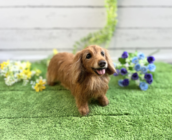 ダックスフンド♡世界でたったひとつ♡うちの子をずっとそばに♡ダックス　オーダー 1枚目の画像