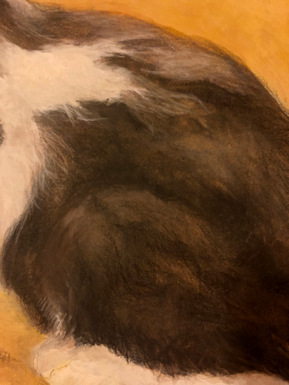 「子猫ウメ」イラスト（原画） 3枚目の画像