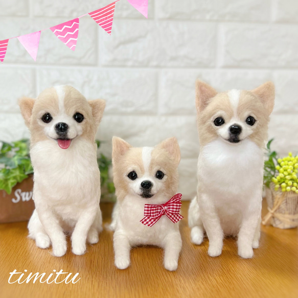 ゆうき様　オーダー専用　羊毛フェルト　犬　羊毛フェルトチワワ ◇こちらはサンプル画像になります◇羊毛フェルト♡ 愛犬