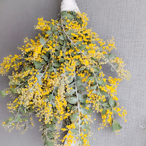 パールアカシアミモザのナチュラルスワッグ スワッグ mamemona 通販