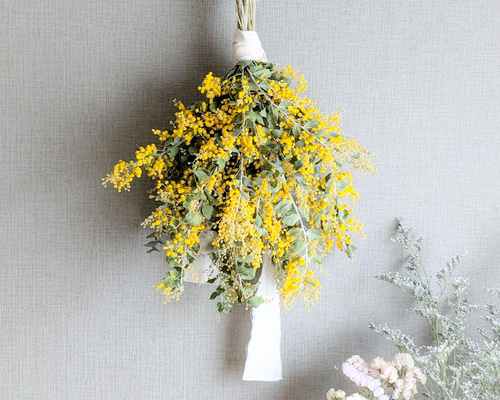 7326f6372070043bacac47744a9f3f