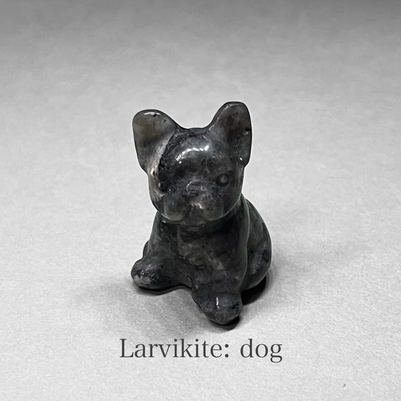 larvikite：dog / ラルビカイト：犬 1枚目の画像
