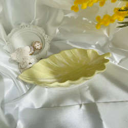 再再再販】パールシェル（イケチョウ貝） 淡水パールのお皿 天然石の