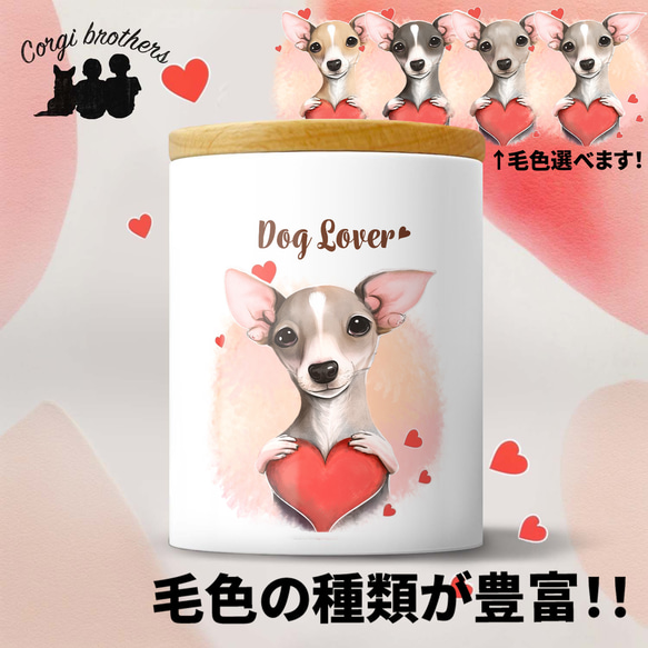 【 キュンです イタリアングレーハウンド 】 キャニスター　保存容器　お家用　プレゼント　犬　ペット　うちの子　犬グッズ 1枚目の画像