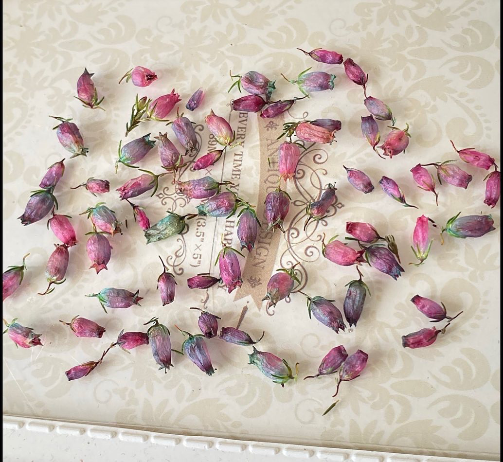 ぷっくり可愛いエリカパーツ❣️バカンスピンクエメラルドグリーン  