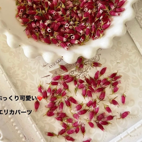 ぷっくり可愛いエリカパーツ❣️バカンスピンクエメラルドグリーン  