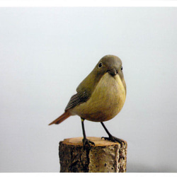 ジョウビタキ メス バードカービング 彫刻 KS 通販 15651849｜Creema