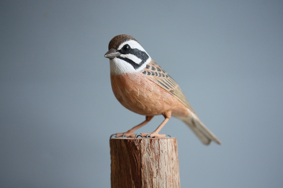 ホオジロ バードカービング 彫刻 KS 通販 15651864｜Creema(クリーマ)