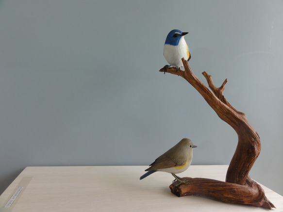 バードカービング　ホトトギス バードカービング ホトトギス バードカービング ホトトギス バード