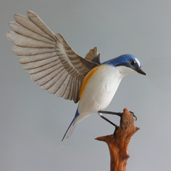 ミソサザイ その2 バードカービング(Bird Carving) 野鳥彫刻