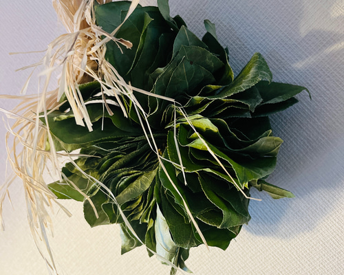 c492cf845ebb21ab7a22dbb882f32d