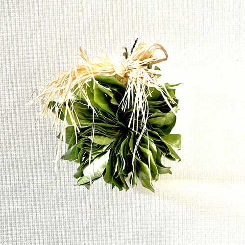 レモンリーフリース 20センチ ドライフラワー s.sumi 通販 15652097