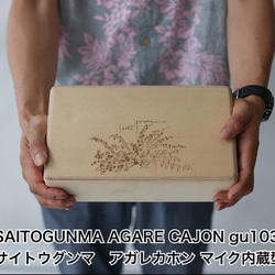 コンパクトな打楽器・楽器「カホン」〜爆音や重低音だせるマイク内蔵の