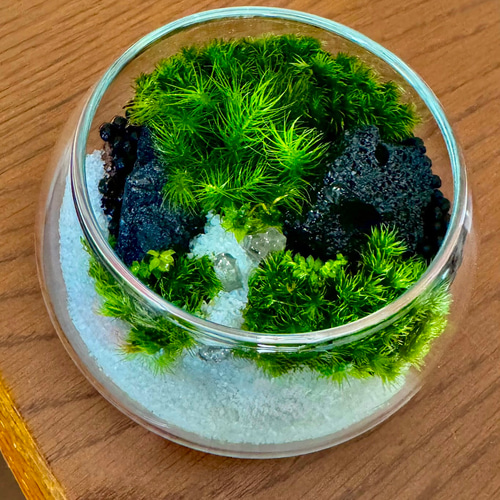 部屋の浄化に◎］天然石の苔テラリウム(クリスタル鉱山)手乗りサイズ