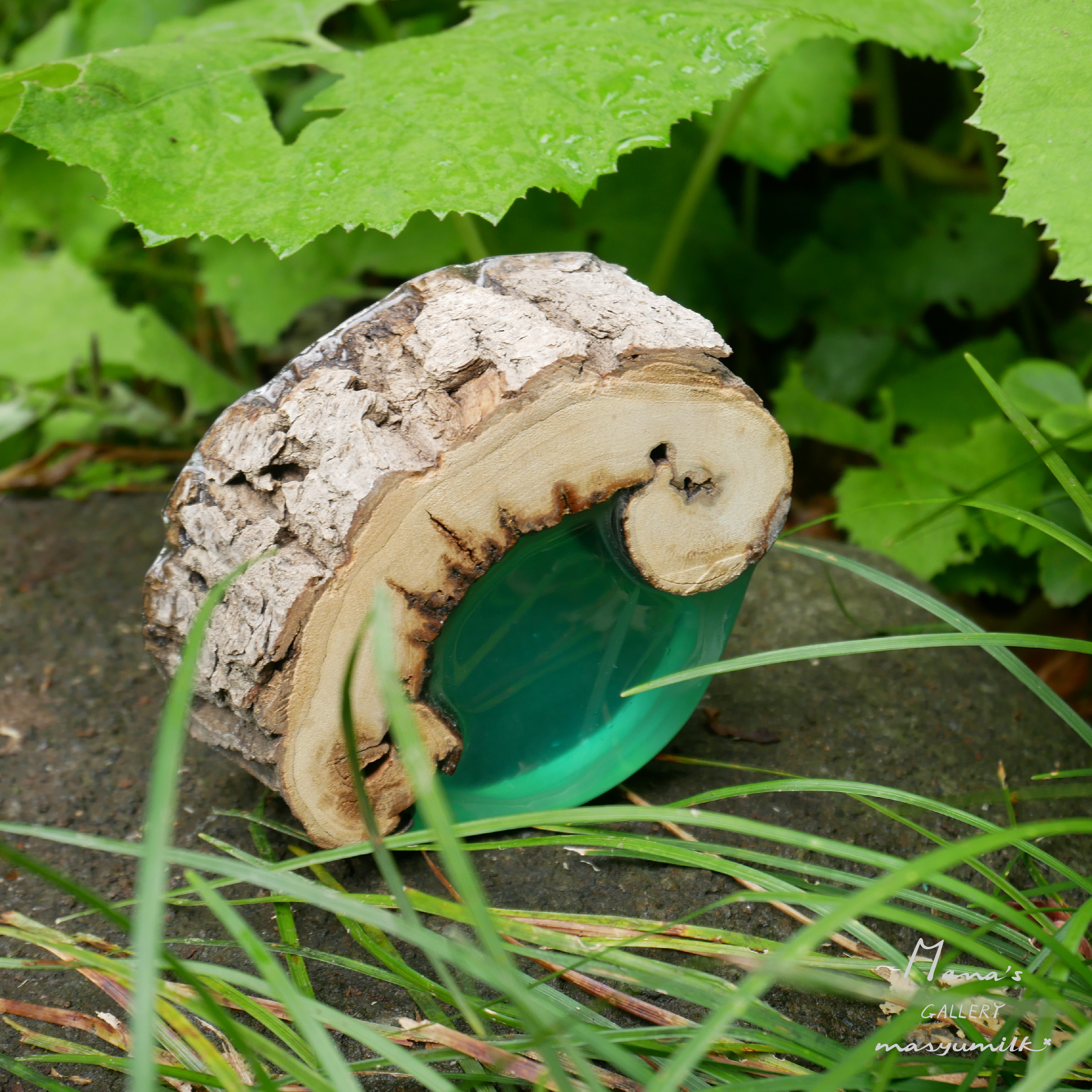 木の雫シリーズ　peacock blue