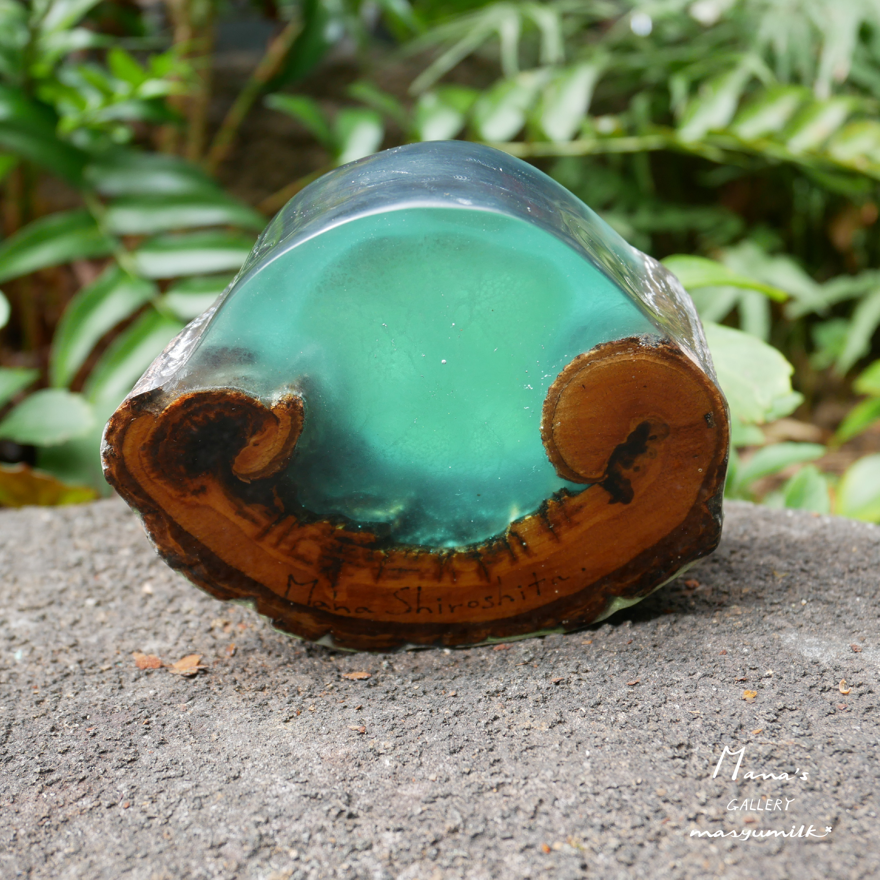 木の雫シリーズ　peacock blue