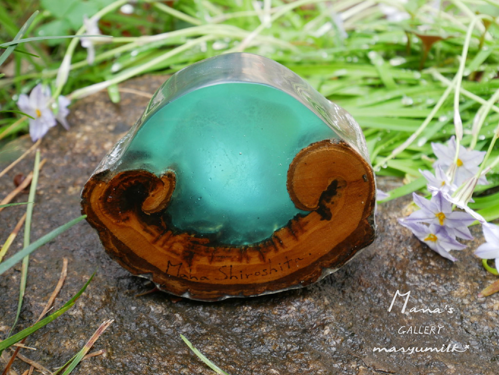 木の雫シリーズ　peacock blue