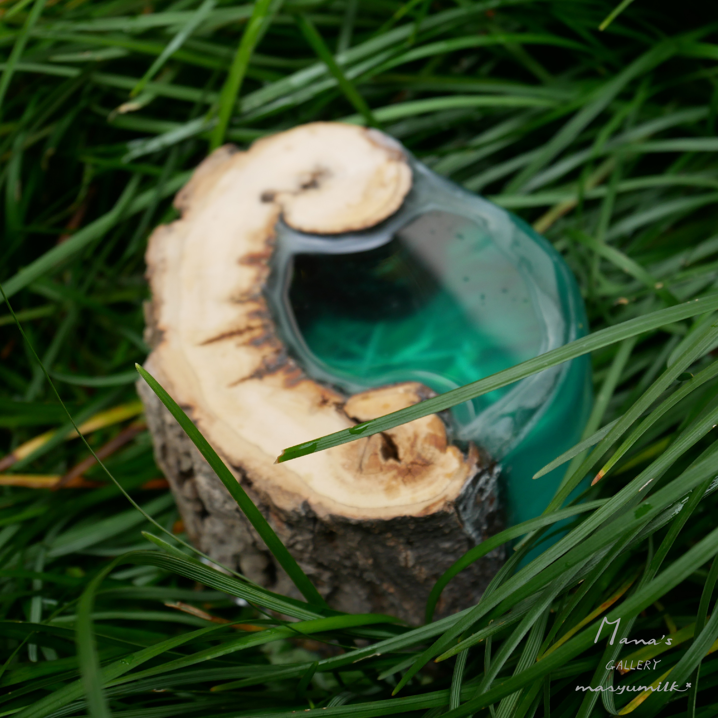 木の雫シリーズ　peacock blue