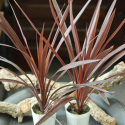 e51ade5f28c41b22dcd46a8af0a19c