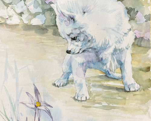 送料無料「ハナニラと仔犬」透明水彩原画F6サイズ額装込み 絵画 窪田