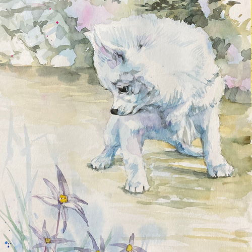 送料無料「ハナニラと仔犬」透明水彩原画F6サイズ額装込み 絵画 窪田