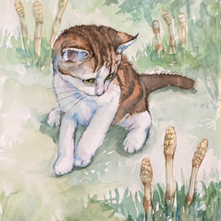 水彩画　「夏の思い出」 Watercolor Painting the Memories of Summer - 夏の記憶 水彩画