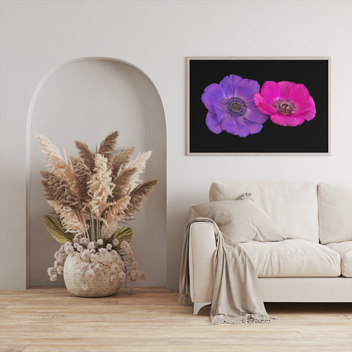 アートポスター アネモネ 花 ピンク 紫 フローラル モダン 北欧