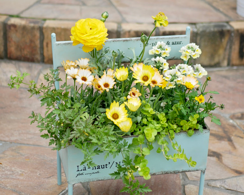 e2061199805138223f2acc3393cddc