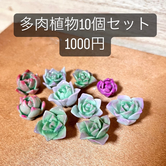 そのまま飾れる〜多肉植物寄せ植え(樹脂粘土レジン) 一輪挿し