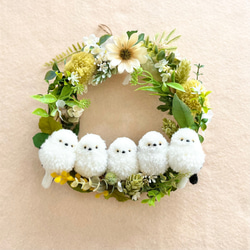 現品♡絶滅種♡ヒメオニソテツ♡ エンセファラルトス ホリダス